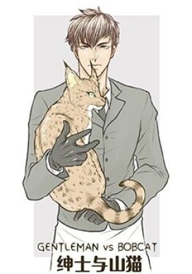 Gentleman VS Bobcat