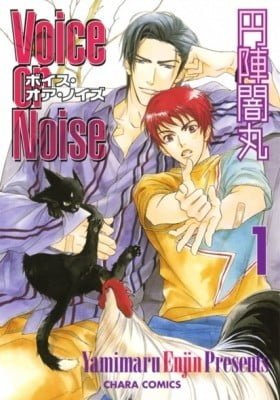 Voice or Noise