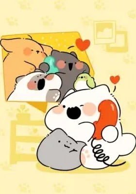 Chubby Cats and Dogs
